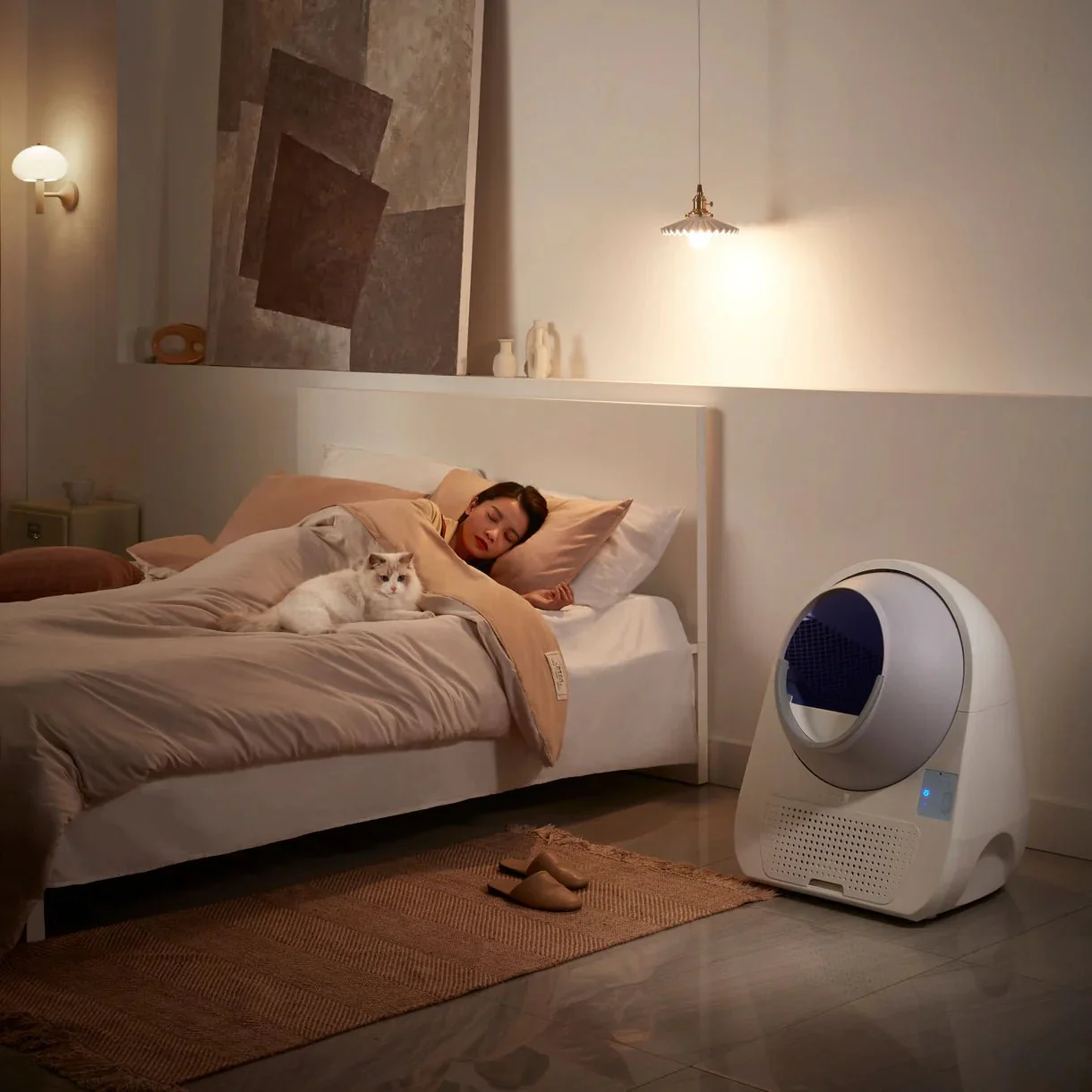 Product image 45